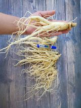 팜모닝 · 게시글 이미지