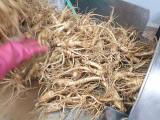 임동현님의 작성글 사진