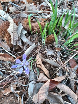 알 수 없음님의 기타작물 · 자유게시판 작성글 사진