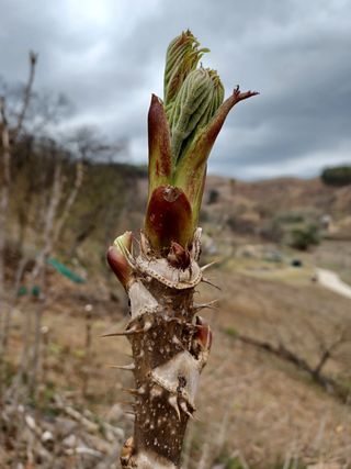 알 수 없음님의 기타작물 · 자유게시판 작성글 사진