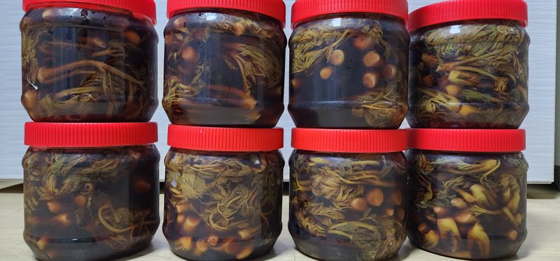 장터 상품 [두릅장아찌 1kg] 썸네일