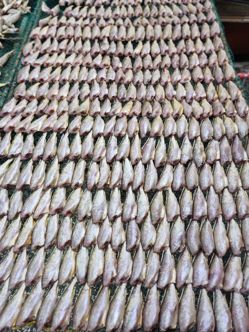 장터 상품 [맛좋은 두절굴기 1키로 22미] 썸네일