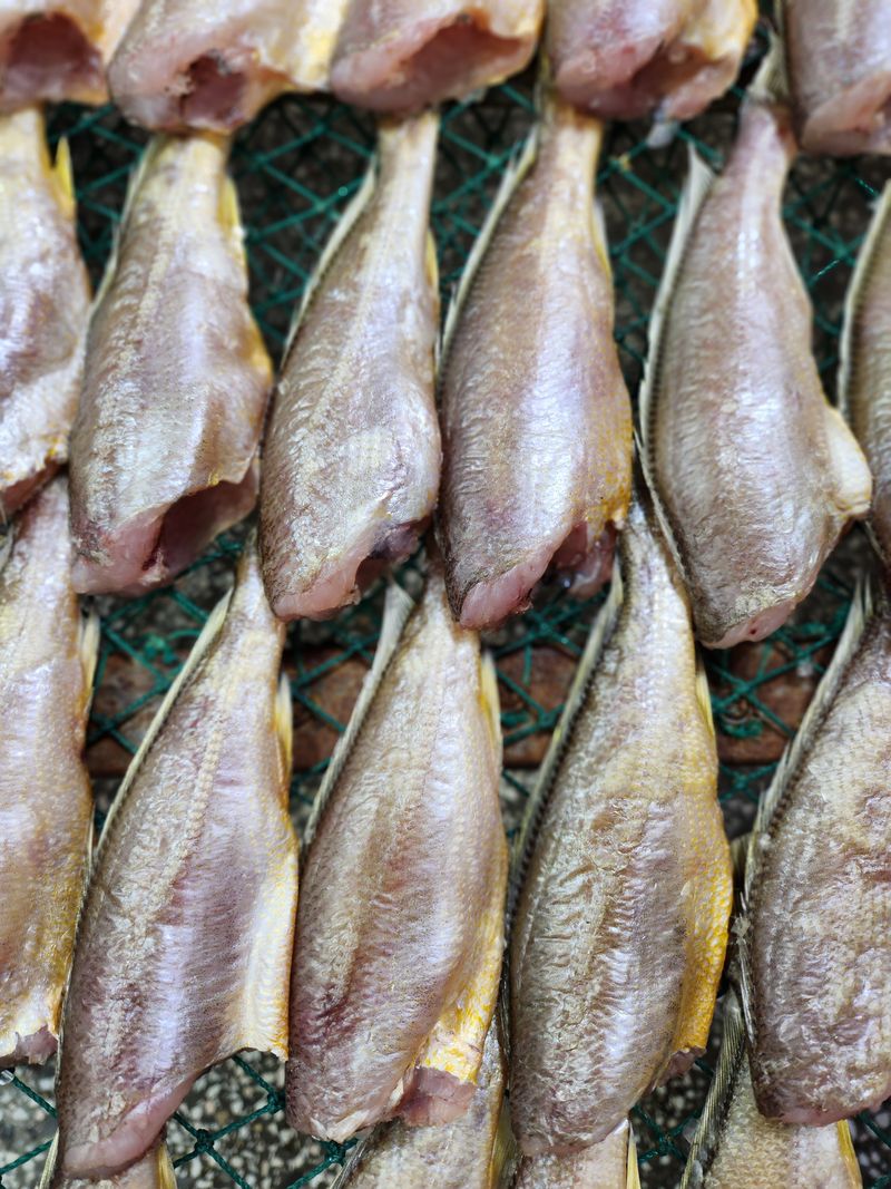 매일굴비센타 님의 장터 판매 상품 [맛좋은 두절굴기 1키로 22미] 첨부 사진