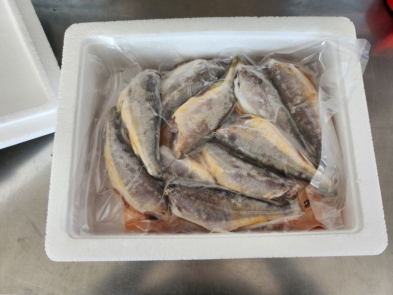 매일굴비센타 님의 장터 판매 상품 [맛좋은 두절굴기 1키로 22미] 첨부 사진