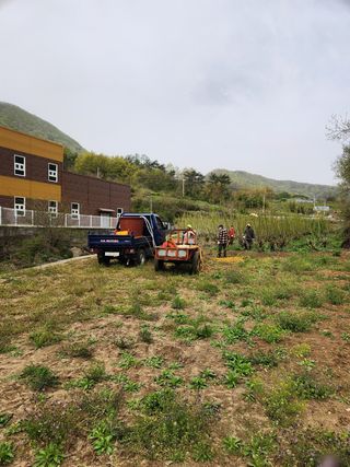 최군환님의 기타작물 · 자유게시판 작성글 사진