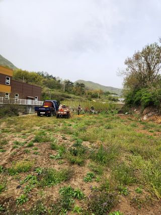 최군환님의 기타작물 · 자유게시판 작성글 사진