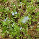 팜모닝 자유주제·자유게시판 게시글 이미지