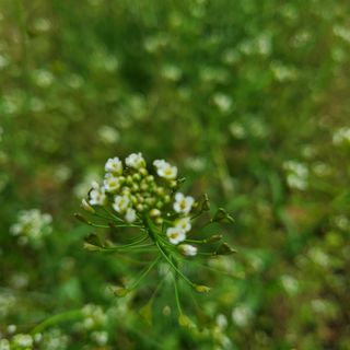 봉덕팜님의 자유주제 · 자유게시판 작성글 사진