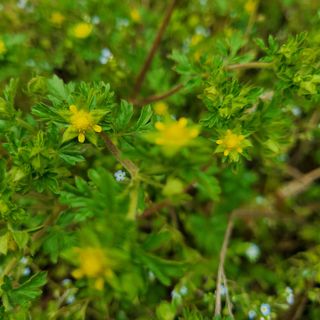 봉덕팜님의 자유주제 · 자유게시판 작성글 사진