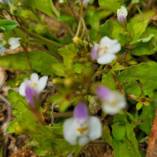 봉덕팜님의 자유주제 · 자유게시판 작성글 사진