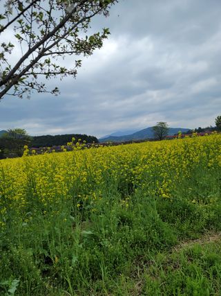 빛그린 김용화님의 우리동네 · 동네자랑 작성글 사진