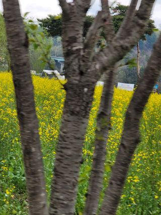 빛그린 김용화님의 우리동네 · 동네자랑 작성글 사진