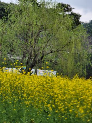 빛그린 김용화님의 우리동네 · 동네자랑 작성글 사진