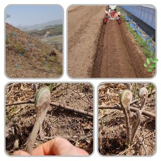 이소영님의 자유주제 · 자유게시판 작성글 사진