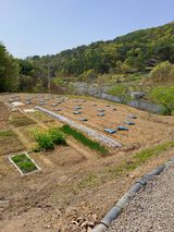 팜모닝 자유주제·자유게시판 게시글 이미지