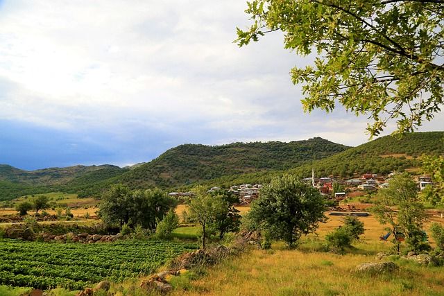 장터 상품 [농산물.농장 무료 광고 홍보해드립니다] 썸네일