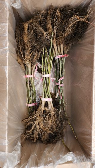 도기백님의 작성글 사진