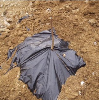 조태호님의 작성글 사진