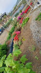 팜모닝 사과·일상 게시글 이미지