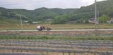 권 명주 님의 우리동네·무료나눔 작성글 사진