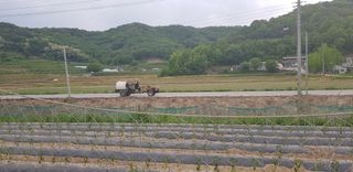 권 명주 님의 우리동네 · 무료나눔 작성글 사진