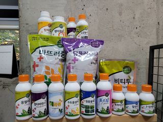 정호영님의 작성글 사진