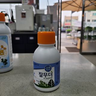 정호영님의 작성글 사진