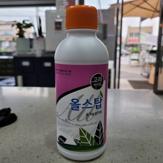 정호영님의 작성글 사진