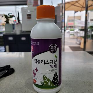 정호영님의 작성글 사진