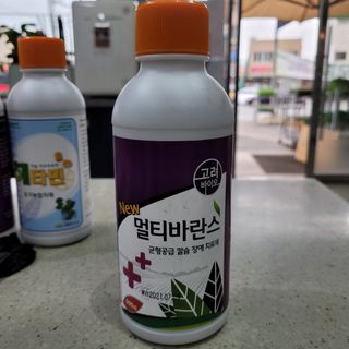 정호영님의 작성글 사진