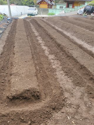 김윤철님의 고추 · 토양준비 작성글 사진