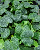 팜모닝 우리동네·동네수다 게시글 이미지