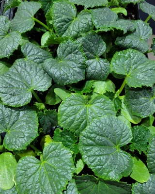 정호영님의 우리동네 · 동네수다 작성글 사진