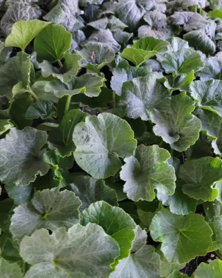 정호영님의 우리동네 · 동네수다 작성글 사진