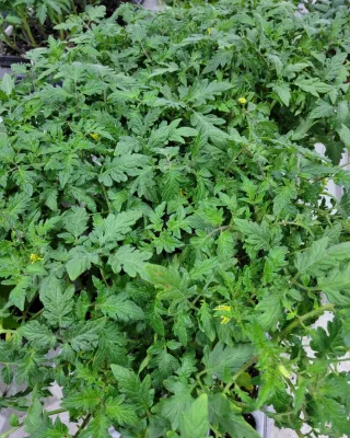 정호영님의 우리동네 · 동네수다 작성글 사진