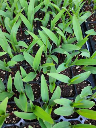 정호영님의 우리동네 · 동네수다 작성글 사진