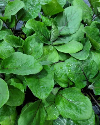 정호영님의 우리동네 · 동네수다 작성글 사진