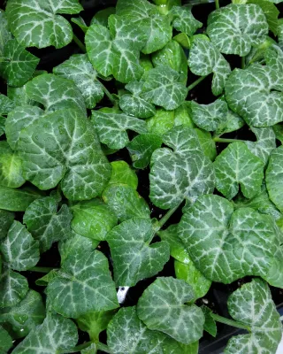 정호영님의 우리동네 · 동네수다 작성글 사진