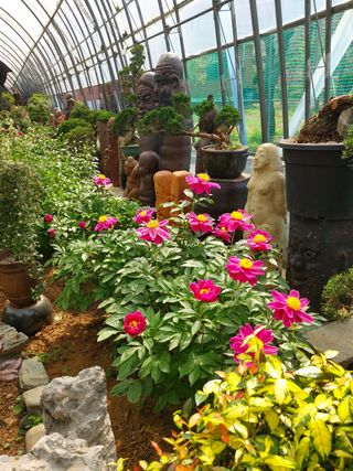 베리맘님의 블루베리 · 자유게시판 작성글 사진