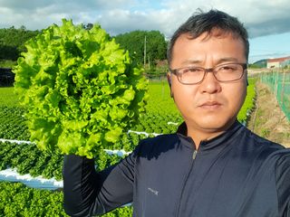 임동현님의 상추 · 자유게시판 작성글 사진