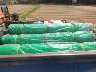 임동현님의 상추 · 자유게시판 작성글 사진