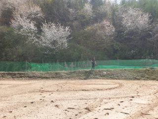 임동현님의 상추 · 자유게시판 작성글 사진