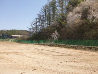 임동현님의 상추 · 자유게시판 작성글 사진