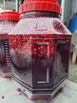 팜모닝 옥수수·자유게시판 게시글 이미지