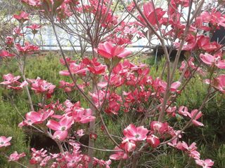 이학봉님의 자유주제 · 자유게시판 작성글 사진