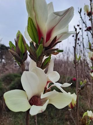 이학봉님의 자유주제 · 자유게시판 작성글 사진