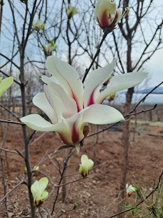 이학봉님의 자유주제 · 자유게시판 작성글 사진