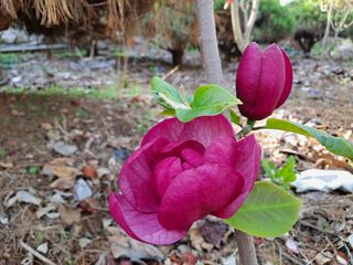 이학봉님의 자유주제 · 자유게시판 작성글 사진