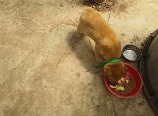 숲등농장 달밭사과님의 자유주제 · 자유게시판 작성글 사진