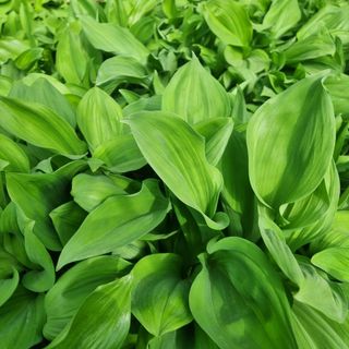 이종권님의 기타작물 · 자유게시판 작성글 사진